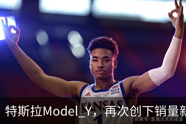 特斯拉Model Y，再次创下销量新高